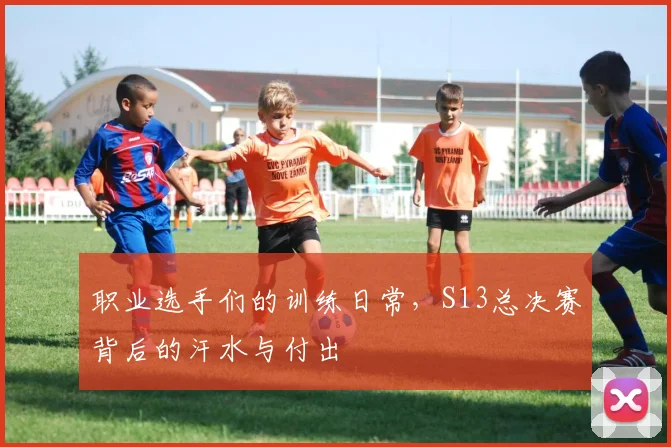 职业选手们的训练日常,S13总决赛背后的汗水与付出