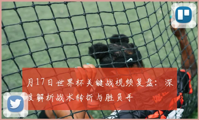 月17日世界杯关键战视频复盘：深度解析战术转折与胜负手